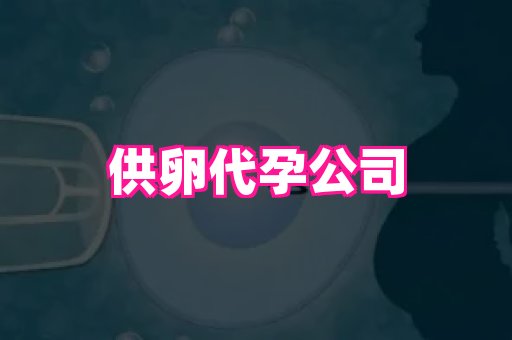 长春助孕网 3